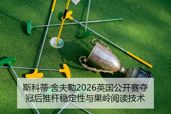 si-ke-di-she-fu-lei-ying-guo-gong-kai-sai-duo-guan-hou-tui-gan-wen-ding-xing-yu-guo-ling-yue-du-ji-shu-2-914.jpg